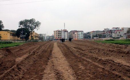 Mộ "khóc"!