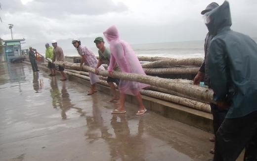 Bão số 8: Miền Trung “hỗn loạn” vì dự báo sai lệch