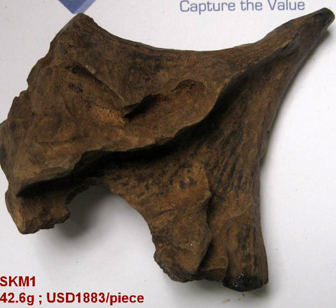 Sự bí ẩn của kỳ nam: Đau thương dó biến thành trầm