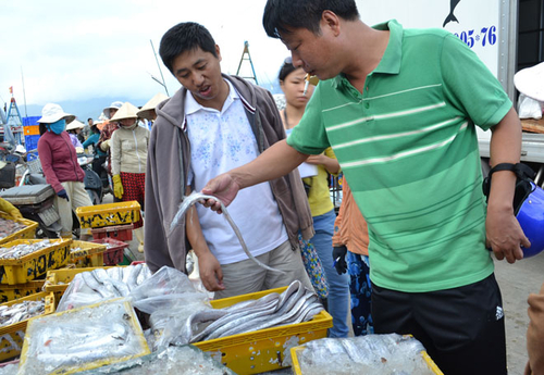 Mua thủy sản “chui” nhưng ai cũng biết