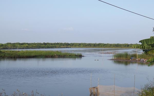 Vụ Tiên Lãng: Chậm xét xử vì phức tạp?