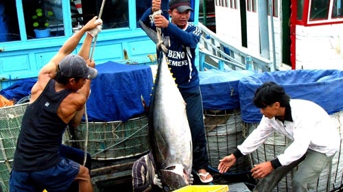 Luật gia Trần Công Trục (nguyên trưởng Ban Biên giới Chính phủ):  Nếu không cương quyết, Trung Quốc sẽ leo thang