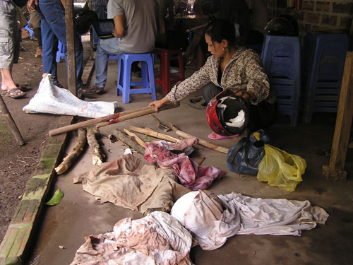 Cần xử lý nghiêm vụ côn đồ đánh dân ở Văn Giang