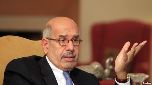 Ông ElBaradei kêu gọi tẩy chay cuộc bầu cử Ai Cập