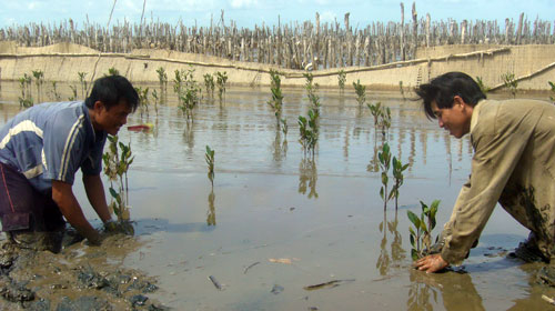 Tị nạn môi trường - Kỳ cuối