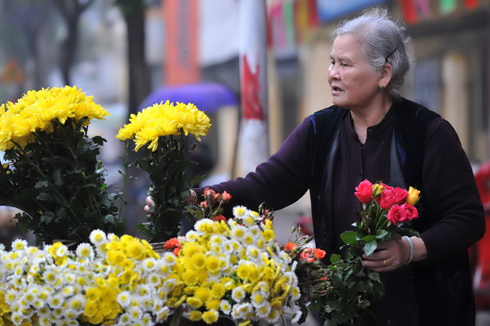 Hoa xuân tràn phố phường Hà Nội