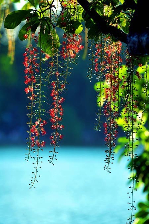 Nồng Nàn Tháng Tư