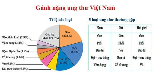 Tránh hư tà chận tặc phong