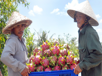 Trung Quốc ồ ạt gom nông sản VN