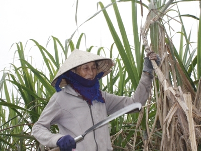 Chợ lao động của người H’rê