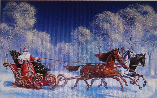 Ngựa Người-Người Ngựa