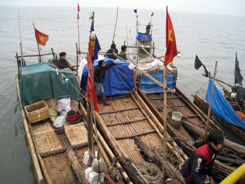Chủ tàu hoang nguy cơ phá sản