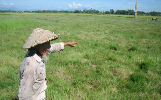 Nỗi buồn nông dân trả ruộng