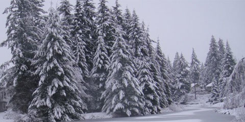 Huế ơi, con sẽ về