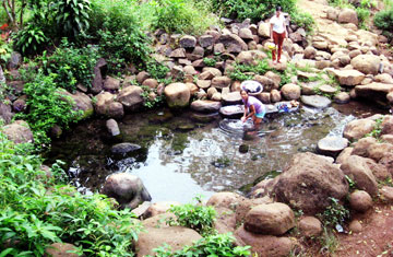 Bí ẩn giếng cổ và cây rau xà lách xoong