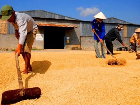 Thiết kế chính sách điều hành mới