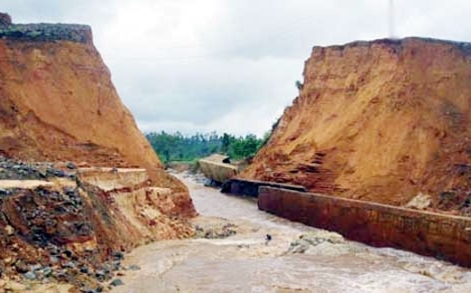 Đồ Sơn, đồ nhà và… đồ lạ