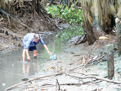 Sonadezi quanh co phủ nhận trách nhiệm