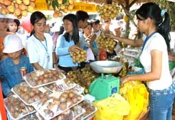 Lễ hội trái cây Nam Bộ 2009