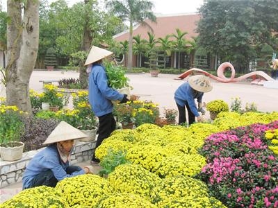 Xuân Quê hương 2010:  Về đây Đàn chim Việt