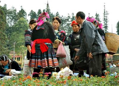 Thả “bùa yêu” để lừa bán “bạn gái”