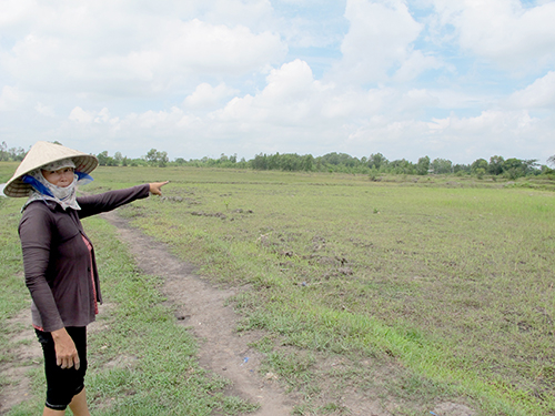 Bi kịch nông dân hết ruộng