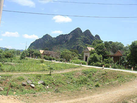 Hỗn loạn gỗ sưa nghìn tỉ