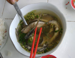 Giản đơn cá chạch nấu ngót