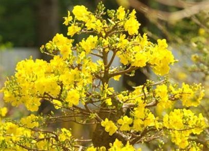 Sức mạnh tinh thần - Di sản lớn nhất của dân tộc