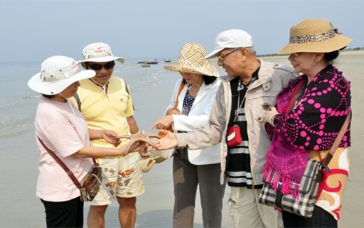 ‘Cú tát’ Travel Life, DN du lịch tự xử lẫn nhau