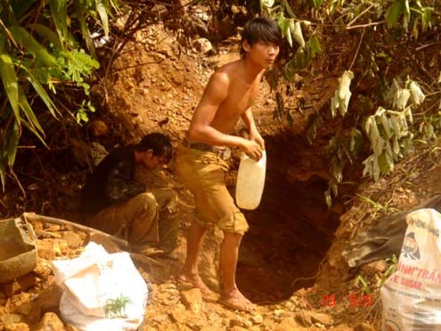 Đổ xô đi khai thác vàng trái phép