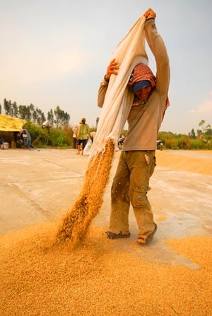Chia sẻ quyền lợi