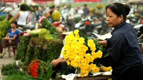 Giá đất HN gấp ngàn lần nơi khác nên phạt phải cao?