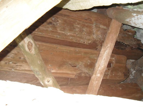 Bí ẩn những quan tài cổ và xương cốt trên đỉnh Pha Quen