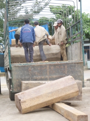 Kiểm lâm 'hãi' lâm tặc