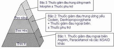 Thận trọng khi dùng thuốc giảm đau