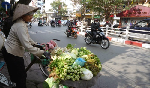 Lập đường dây buôn thực phẩm quê ra phố