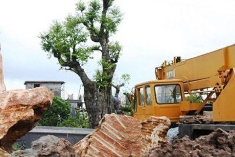 'Khóa môi' và... từ chức