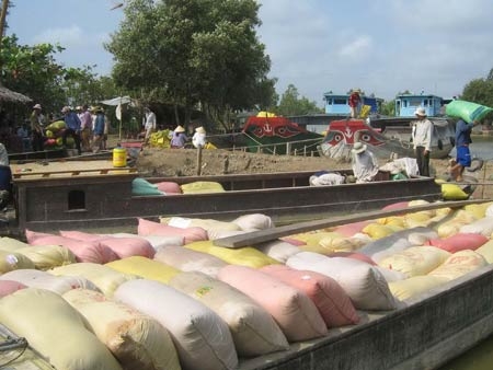 Dài cổ... chờ bán lúa