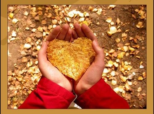 Mùa xá tội vong nhân, người trần lại... "chia chác"