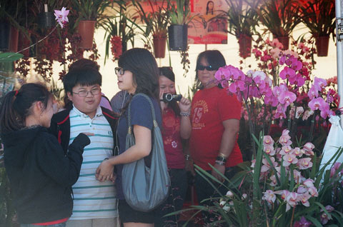 Người Việt xa xứ ăn Tết xôm hơn ở nhà