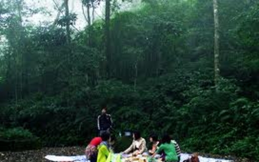 Lên rừng, xuống biển, giữa Thủ đô: Đâu đâu cũng “chặt, chém”