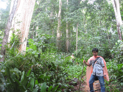 Dự án thủy điện Đồng Nai 6 và 6A: Cân nhắc kỹ lợi, hại