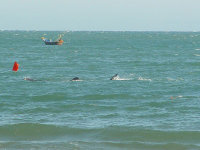 Thiên nhiên nước ta giàu hay nghèo?