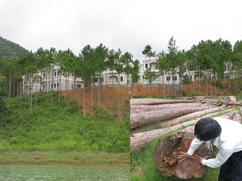 “Bức tử” hồ Tuyền Lâm!