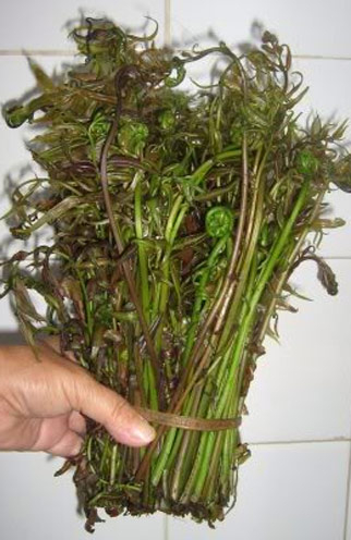 Đọt choại luộc: Món ăn mùi nhớ