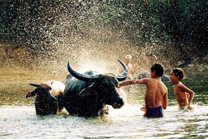 Một vài cảm nghĩ khi về quê