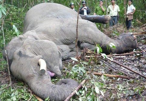 Cái giá của sự...ngây thơ!