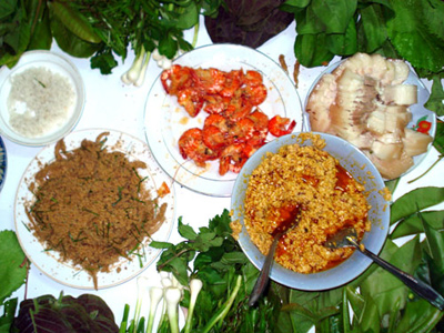 Về Tây Nguyên ăn "gỏi lá" rừng Đất Cấm