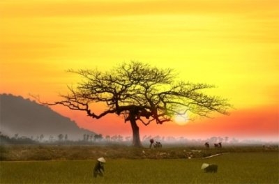 Chùm thơ của tác giả Nguyễn Minh Xuân